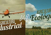 Agricultura ecològica respon al País Agrcicultura eco vs industrial