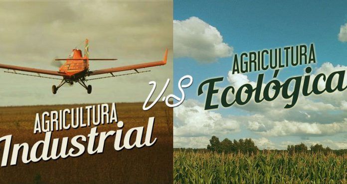 Agrcicultura eco vs industrial