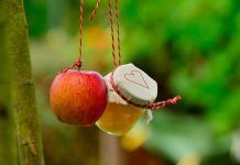 Consumo “BIO”: Buenos tiempos para la lírica CONSUMO BIO COLGANDO ARBOL