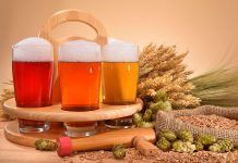 Beber cerveza