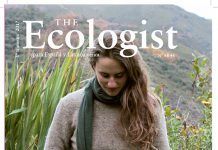 The Ecologist: El Ayuno theecologist ayuno