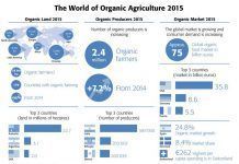 Another record year for organic agriculture worldwide 2015 altre any record agricultura ecologica mundial gran