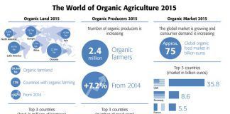 Another record year for organic agriculture worldwide 2015 altre any record agricultura ecologica mundial gran