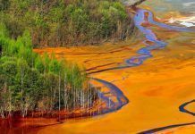 Coca Cola, Pepsi, Danone i Nestlé, les empreses que més contaminen el planeta Coca Cola Pepsi Danone y Nestle las empresas que mas contaminan al planeta large
