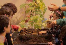 Festival MamaTerra en Sevilla: sembrando la semilla eco MAMATERRA sevilla 12 02 17