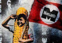 La propaganda de Monsanto para salvar al glifosato Monsanto glifosato propaganda Carey Gillam