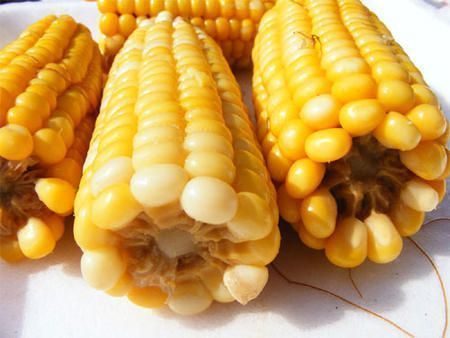 Sera nutritivo el maiz transgenico que produce cadaverina y putrescina large Sera nutritivo el maiz transgenico que produce cadaverina y putrescina large