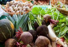 Catalunya duplica el peso de su agricultura ecológica y concentra ya el 10% de la superficie de toda España agricultura ecológica catalunya
