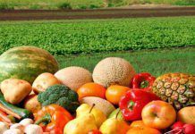 La industria alimentaria invierte en “ecológico” como vía de diferenciación alimentos ecológicos industria pae 13 02 17