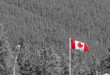 El CETA aumentaría la exposición a sustancias cancerígenas y contaminantes hormonales canada 1307588 1280