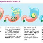 captulip way diet