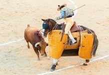 España, el país de las fiestas crueles con animales España, el país de las fiestas crueles con animales. Por Helena Escoda