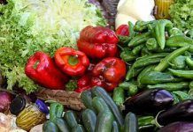 Amigos de la Tierra: “La UE tiene un papel crucial en la transición a otra agricultura” ue papel crucial en la transición a otra agricultura