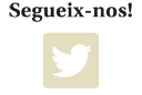 Icona TWITTER
