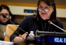 Expertos de la ONU denuncian el «mito» de que los pesticidas son necesarios para alimentar al mundo ¿Pesticidas son necesarios?
