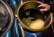 Així es fa: Cervesa ecològica. Per David Seguí