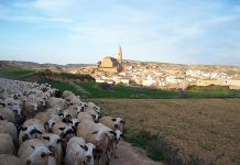 Turismo ecológico en el corazón de Teruel
