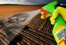Campañas: Luchando por el futuro de la agricultura europea futuro agricultura europea luchando