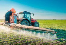 Castilla La-Mancha abre la mano al uso masivo de herbicidas y más espalderas en las ZEPA de aves esteparias herbicidas castillalamancha zepa