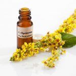 terapias naturales naturopatia