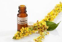 Más allá de una terapia: la naturopatía como forma de vida terapias naturales naturopatia