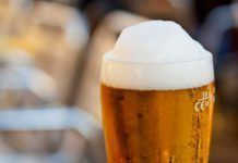 Campaña europea: ¡No a las patentes en la cerveza! No patents on beer cerveza