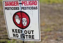 EEUU: Departamento de Medio Ambiente californiano incluye el glifosato en su lista de cancerígenos glifosato EPA california