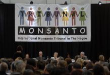 Monsanto Tribunal judges present their conclusions