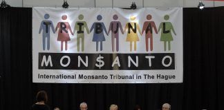 Monsanto Tribunal judges present their conclusions