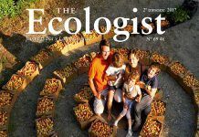 The Ecologist: Permacultura the ecologist permacultura