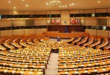MEPs reject GM maize and cotton imports Algodón Transgénico Cotó Transgènic GM maize