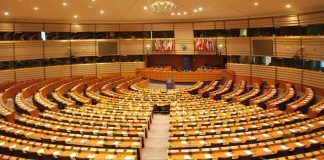 MEPs reject GM maize and cotton imports Algodón Transgénico Cotó Transgènic GM maize