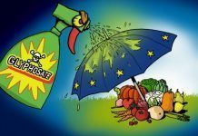 Presencia de glifosato en personas en Francia e Italia, según nuevos análisis realizados Glifosato en personas glifosat en persones