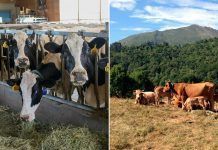 Más de 250.000 ciudadanos piden a la Comisión una reforma de raíz en la política agraria de la Unión Europea Política Agraria Política Agrària