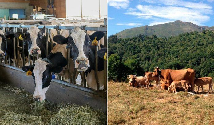 Política Agraria Política Agrària