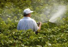 La ciudadanía se moviliza en toda Europa contra los pesticidas Contra los pesticidas