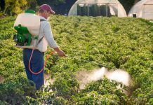 La lista de productos cancerígenos sigue creciendo Productos cancerígenos productes cancerígens