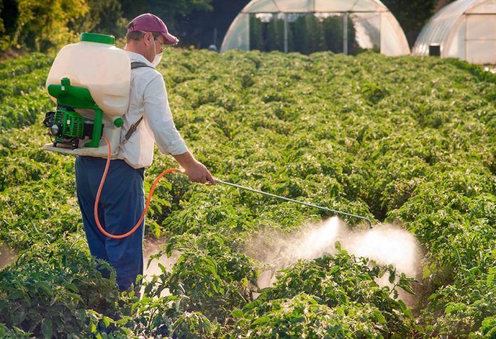 Productos cancerígenos productes cancerígens
