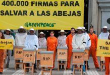 400.000 firmas para proteger a las abejas frente a los insecticidas Proteger a las abejas protegir les abelles