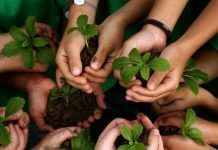 Vrai: 7 razones para consumir productos ecológicos Consumir productos ecológicos Vrai consumir productes ecològics