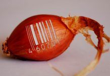 ¿Se pueden patentar las plantas y animales no transgénicos? Patentar las plantas