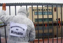 Madrid limitará el uso de plaguicidas como el glifosato por considerarlos nocivos para el sistema endocrino Madrid Glifosato