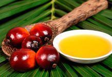 Consumir oli de palma malmet la salut, la selva tropical i la vida silvestre Aceite de palma Oli de palma