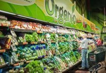 Consumo ecológico: Los productos «bio», al alza Consumo ecológico Consum ecològic