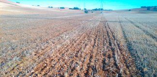 Tillage without using a plough: beneficial for soil and climate Laboreo sin arado tillage llaurar
