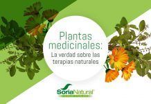 La verdad sobre las plantas medicinales Plantas Medicinales