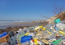 Los residuos plásticos inundan nuestros mares Residuos plásticos mares, plásticos oceanos, contmainación oceanos, día mundial oceanos residus plàstics