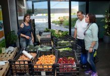 Más de 400 familias extremeñas compran a través de grupos de autoconsumo