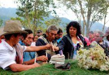 200 activistas asesinados por defender el medio ambiente en 2016, el peor año de la historia activistas asesinados