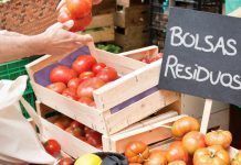 Reclaman la prohibición de las bolsas de plástico de un solo uso Bolsas de plástico de un solo uso bosses de plàstic d'un sol ús